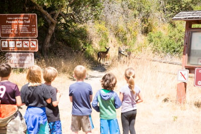 kids-hiking-outdoors