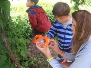 family-exploring-outdoors